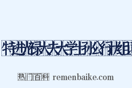 特进光禄大夫大学士孙公行状组词是什么意思的图片